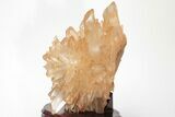 Tangerine Quartz Crystal Cluster with Wood Base - Madagascar #205883-3